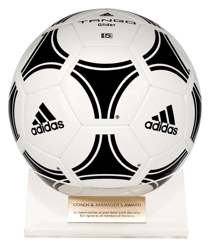 Acrylic Ball Holder