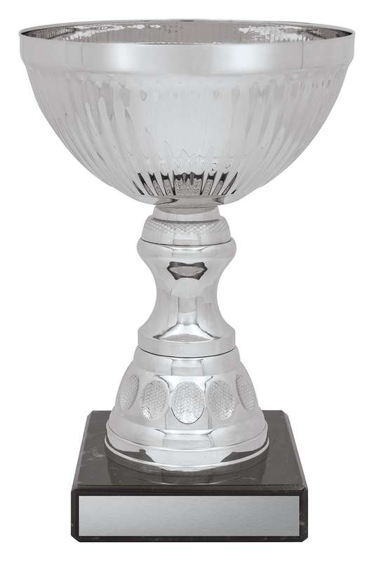 Reverie Cup – Silver