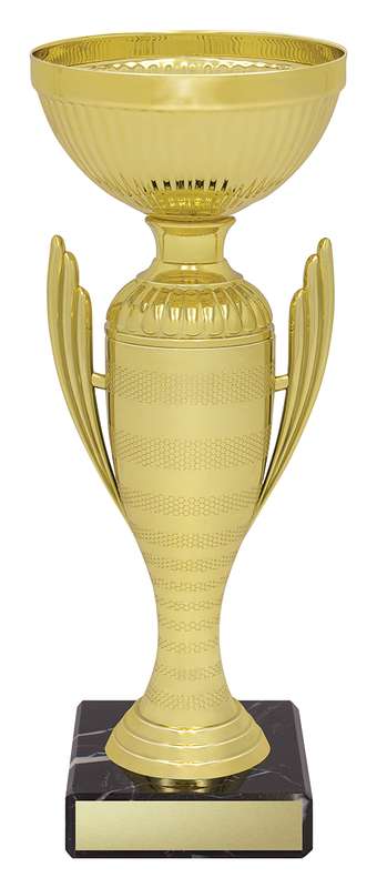Guardian Cup