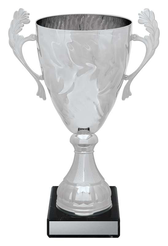 Silver Eternal Cups