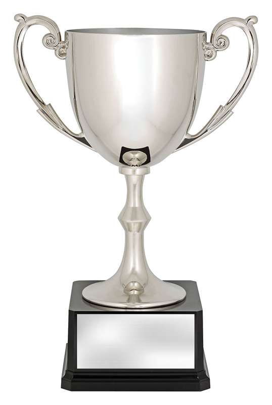 Recognition Cups
