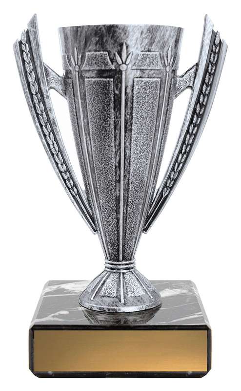Silver Cup