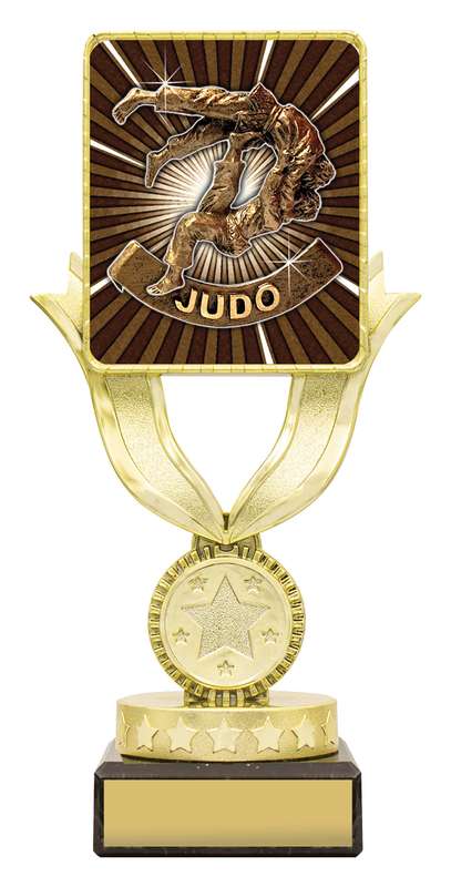 Lynx Sentry – Judo