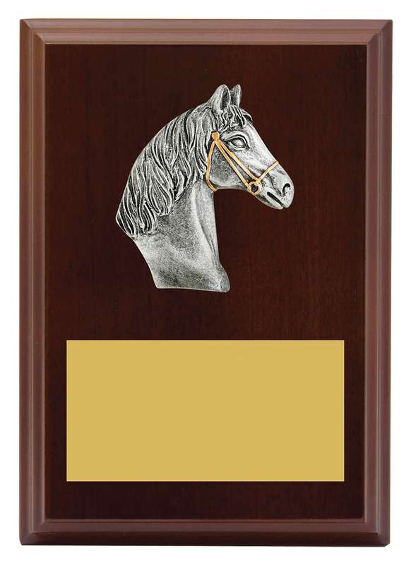 Plaque – Peak Horse