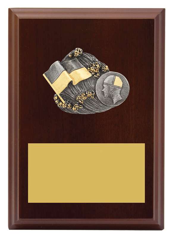 Plaque – Peak Lifesaving