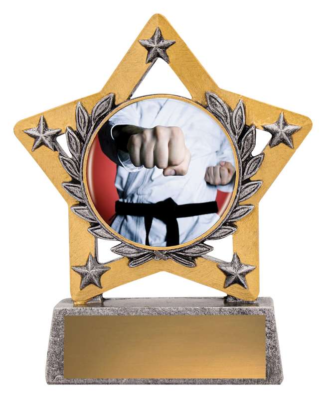 Mini Star Colour – Martial Arts