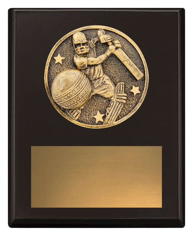 Challenge Plaque – Batting