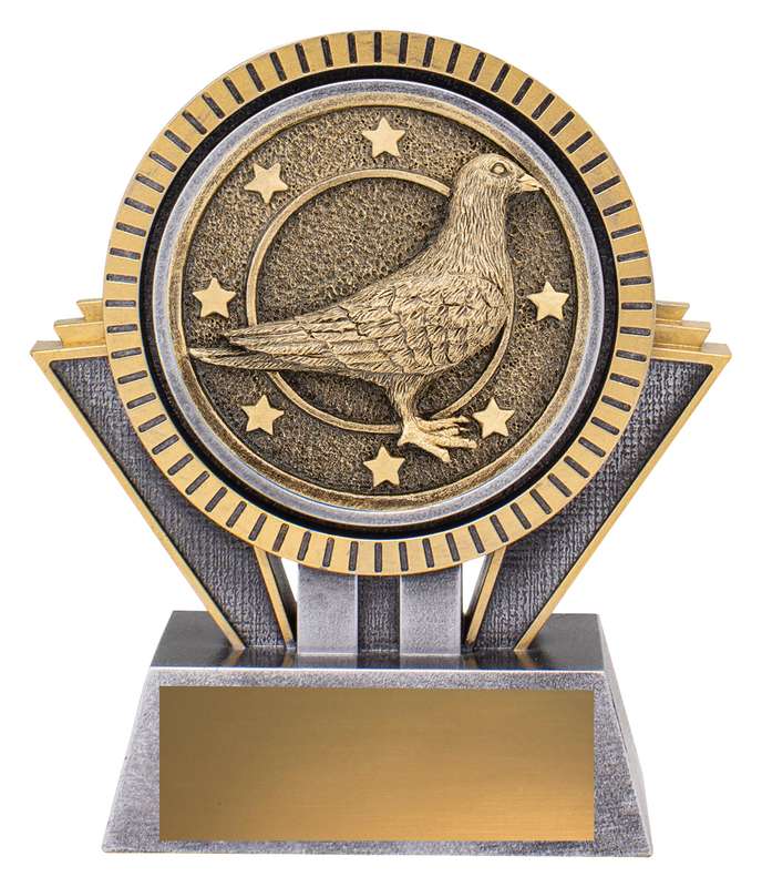 Spartan – Pigeon