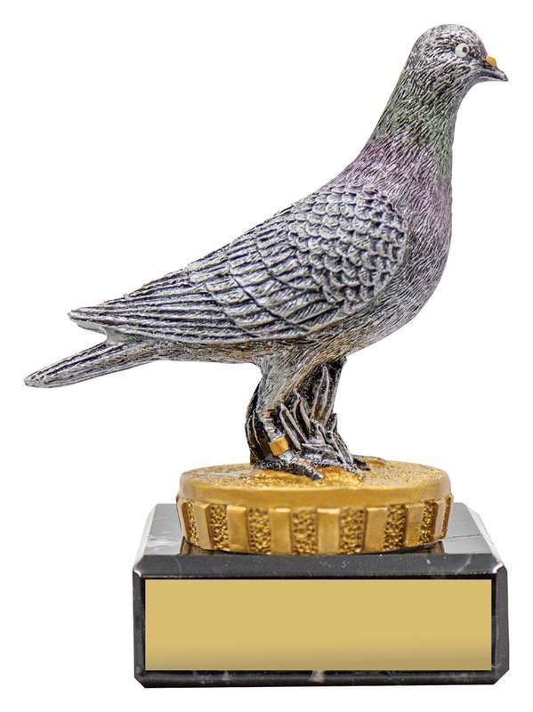 Pigeon Marble