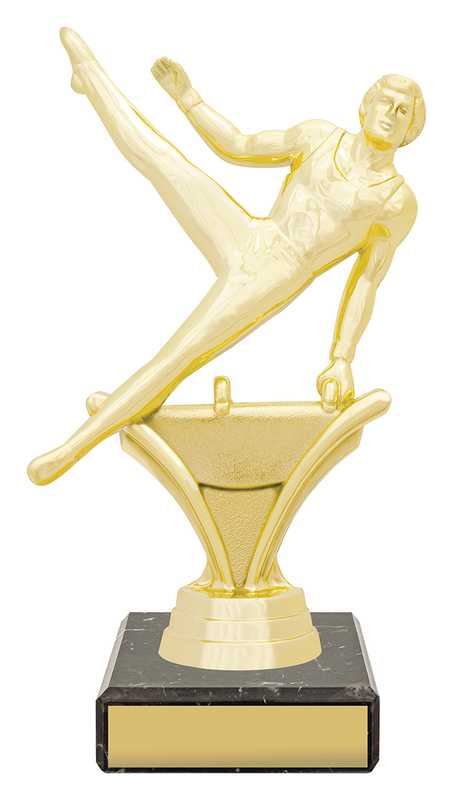 Figure Trophy – Male Gym