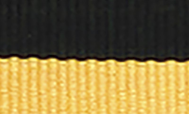 Black Gold Ribbon