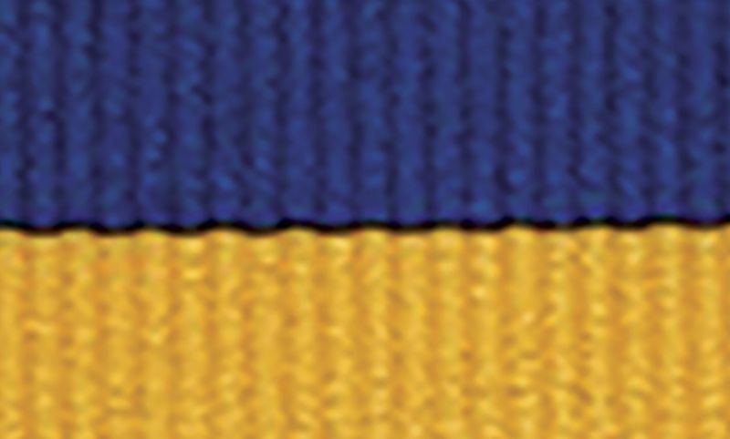 Blue Gold Ribbon