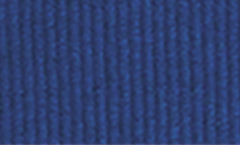 Blue Ribbon