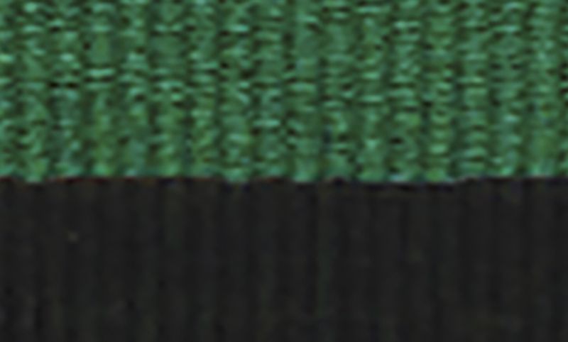 Green Black Ribbon