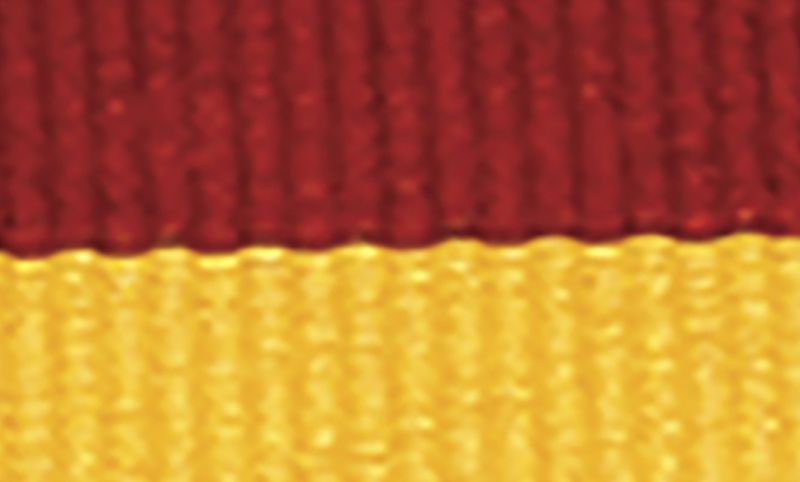 Maroon Gold Ribbon