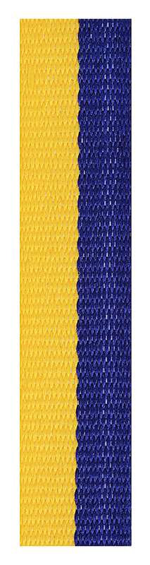 Blue / Gold Loop Rib
